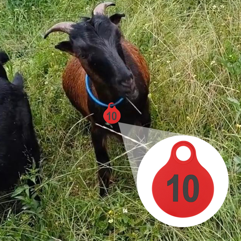 001-100 Cattle TPU Hanging Tag - огляд і ціна Livestock Ear Tag