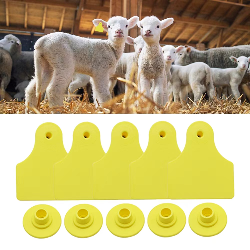 20 Pcs 40*50mm Goats Sheep Cat - огляд і ціна Livestock Ear Tag