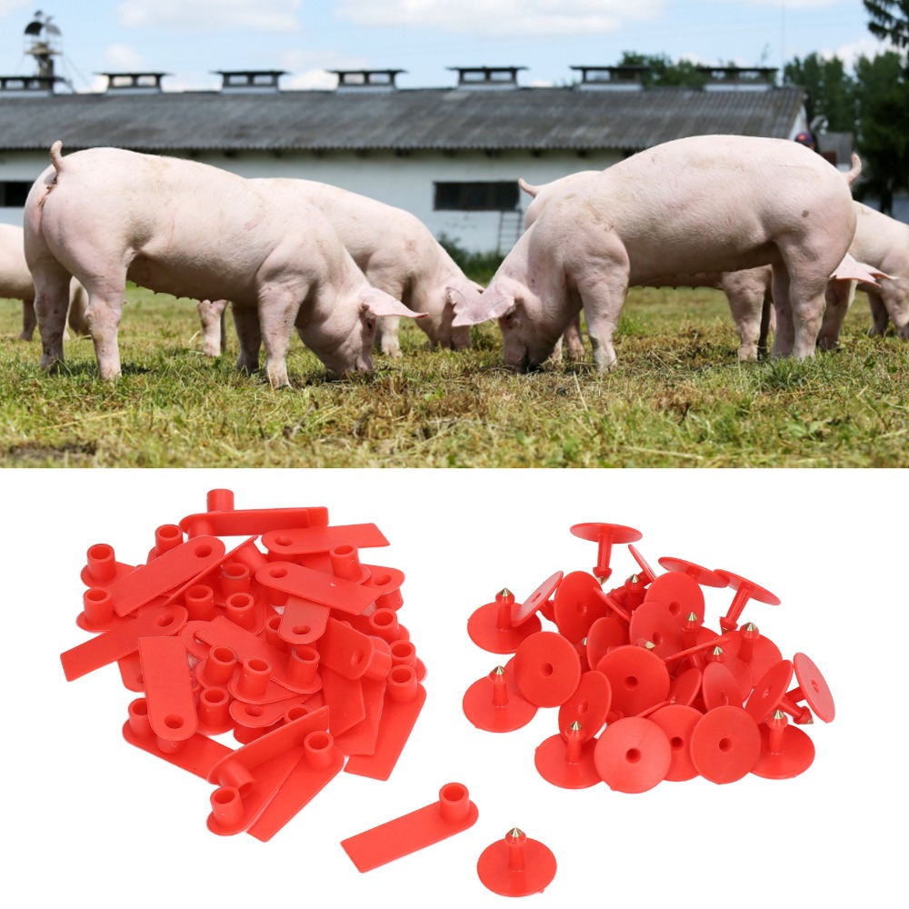100Pcs Hand-writable Blank Liv - огляд і ціна Livestock Ear Tag