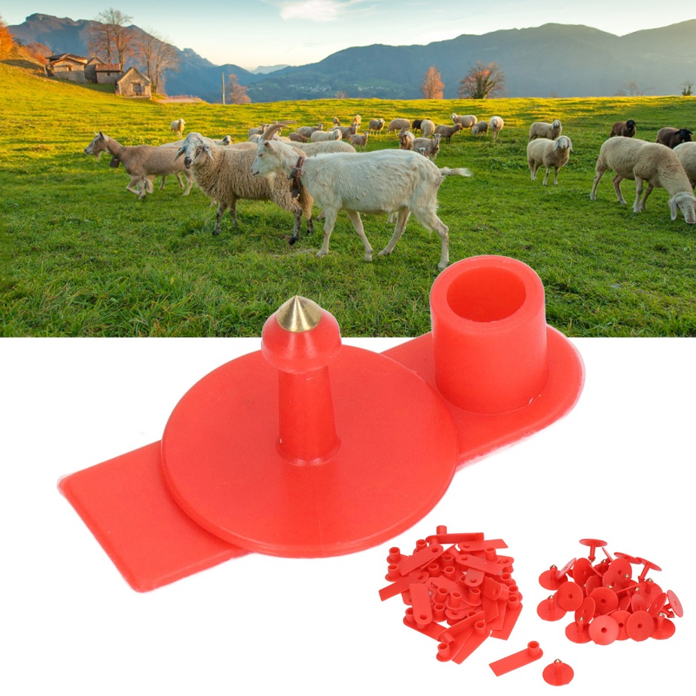 100Pcs Hand-writable Blank Liv - огляд і ціна Livestock Ear Tag
